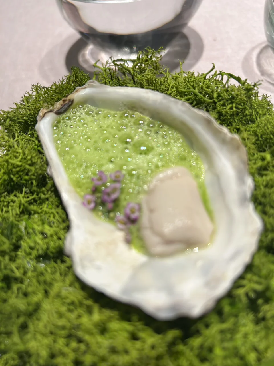 28 Ostra en escabeche