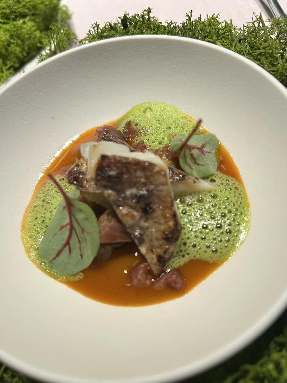 Pescado sargo a la brasa